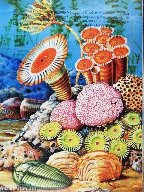 Ősvilágunk képekben