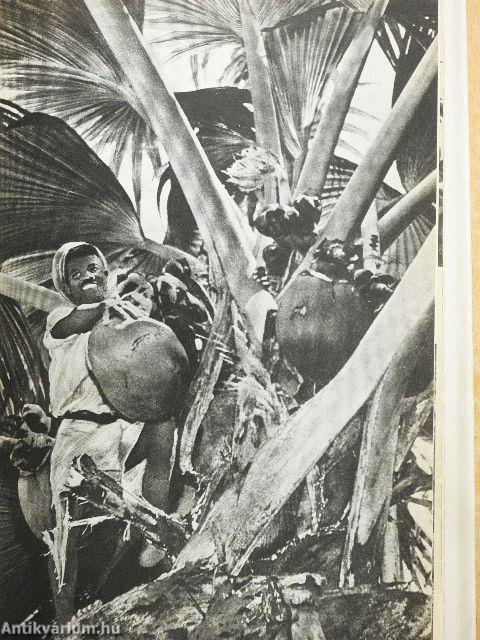 Rejtelmes-e a növényi élet?