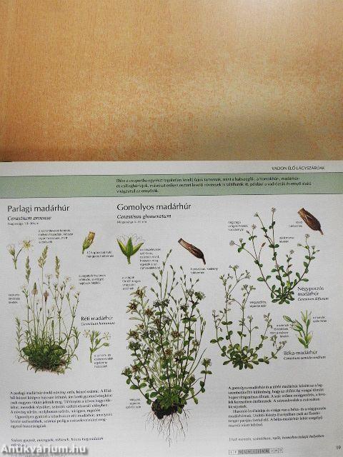 Természetbarátok kézikönyve