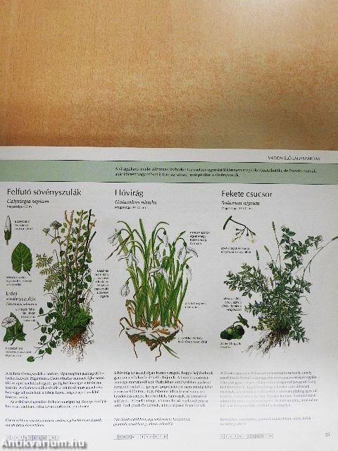 Természetbarátok kézikönyve