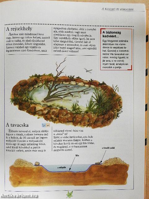 Kalandozások és felfedezések a természetben