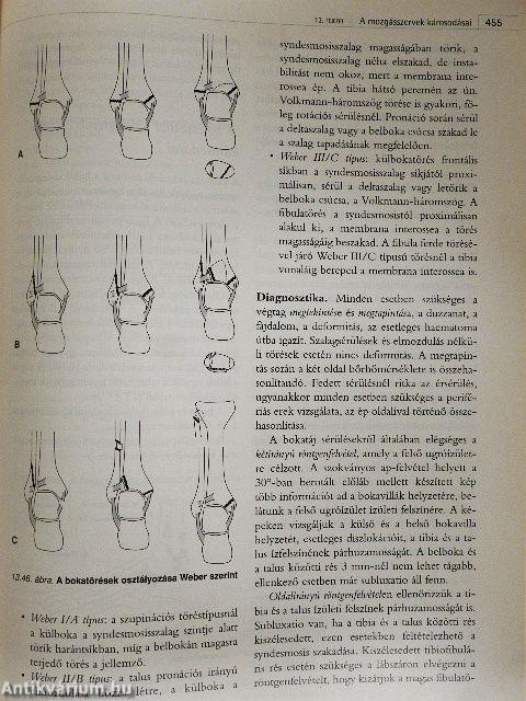 Irányelvek a funkcióképesség, a fogyatékosság és a megváltozott munkaképesség véleményezéséhez