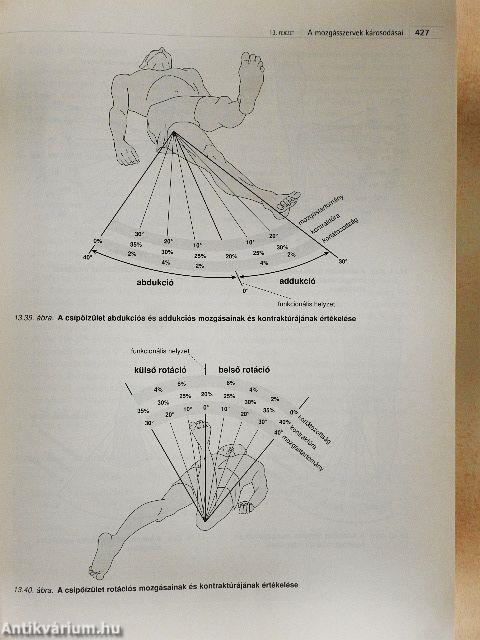 Irányelvek a funkcióképesség, a fogyatékosság és a megváltozott munkaképesség véleményezéséhez