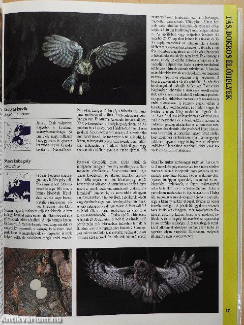 Nagy európai madárkalauz