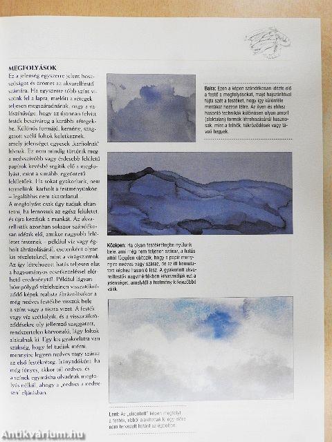 A vízfestés iskolája