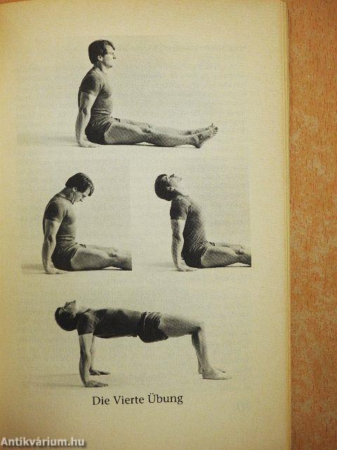 Die Fünf »Tibeter«