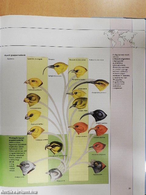Az élővilág atlasza