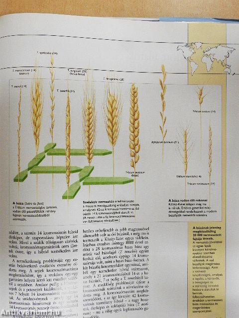 Az élővilág atlasza