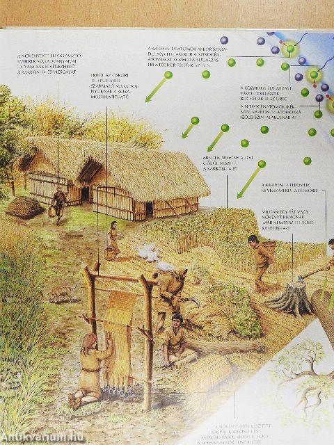 Kalandozások az őskorban