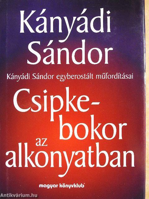 Csipkebokor az alkonyatban
