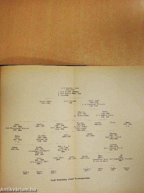 Galanthai és Fraknói gróf Esterházy Antal levelei feleségéhez gróf Nigrelli Mária Annához 1701-1706
