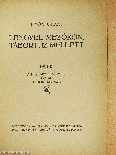 Lengyel mezőkön, tábortűz mellett