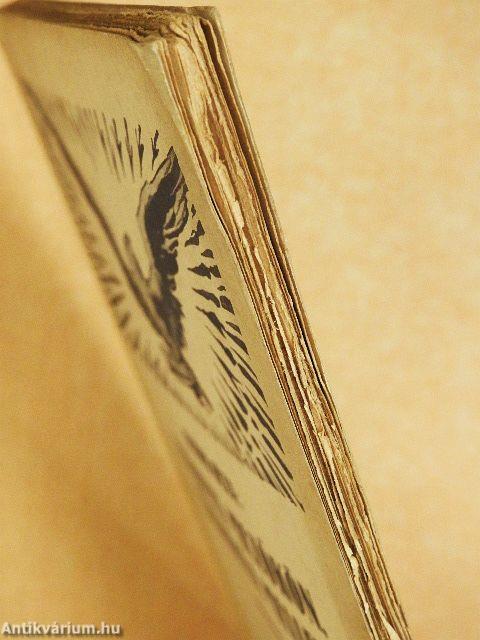 Lengyel mezőkön, tábortűz mellett