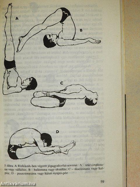 A jóga és az idegrendszer