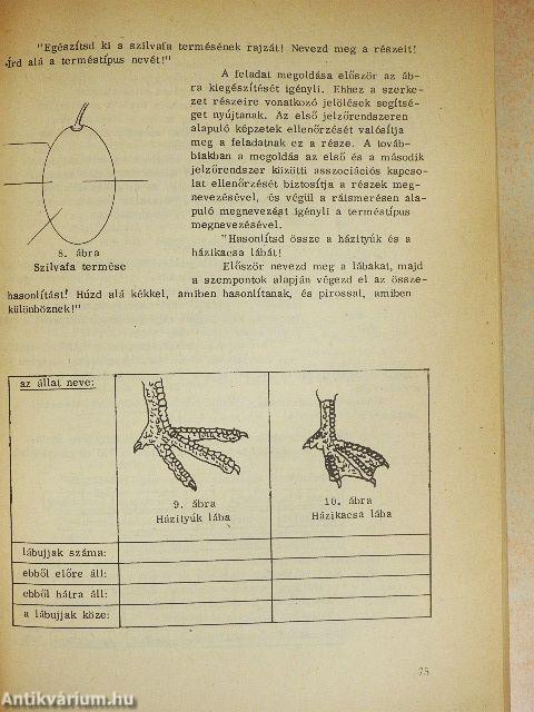A környezetismeret tantárgypedagógiája