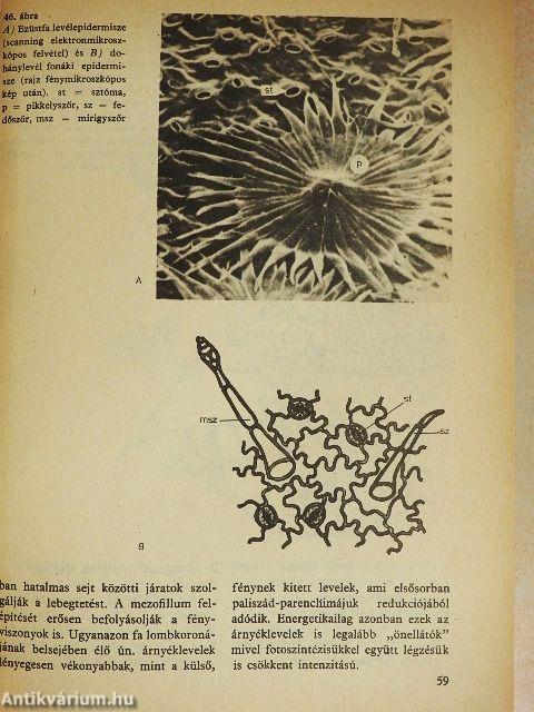 Biológiai stúdium