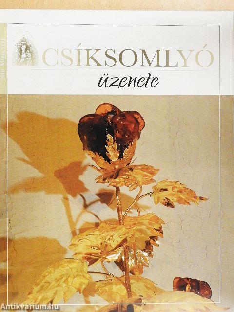 Csíksomlyó üzenete 2019. Mária neve