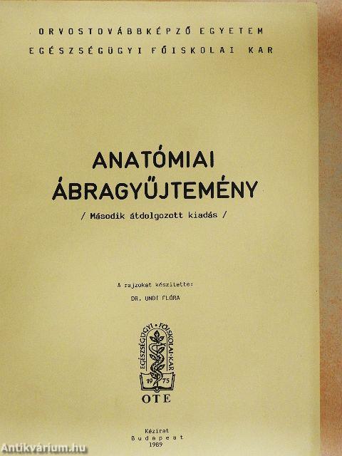 Anatómiai ábragyűjtemény