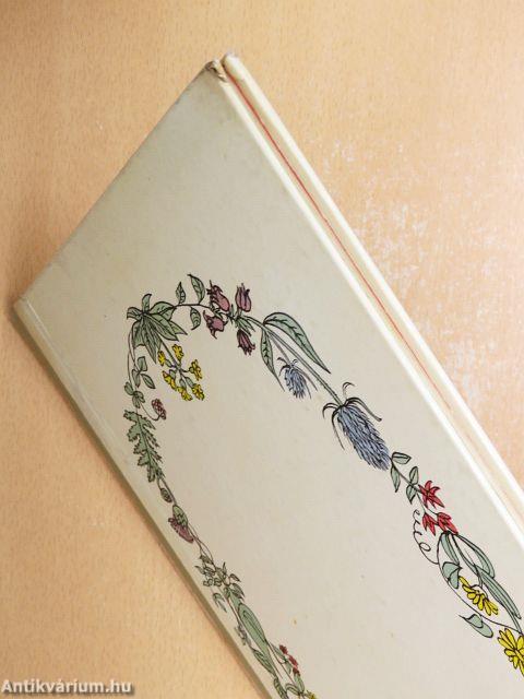 Ébredéstől elalvásig