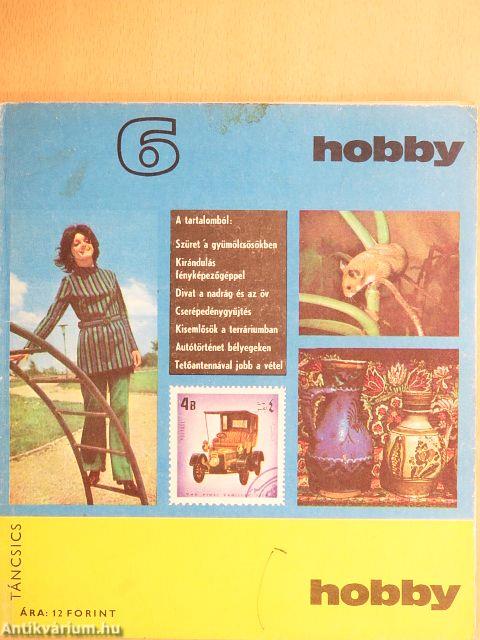 Hobby 6.