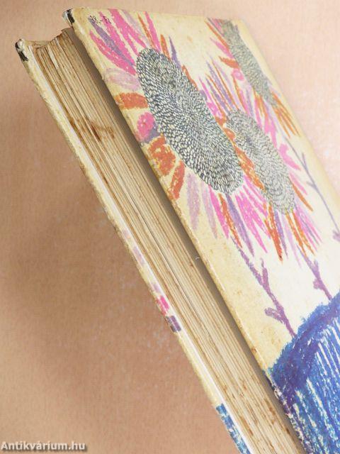 Első meséskönyvem