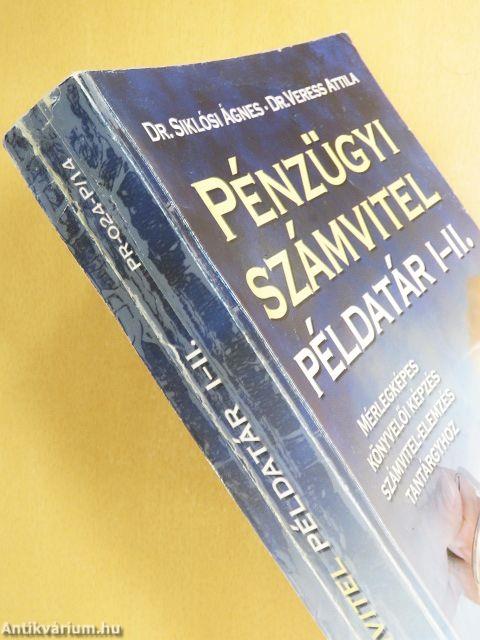 Pénzügyi számvitel példatár I-II.