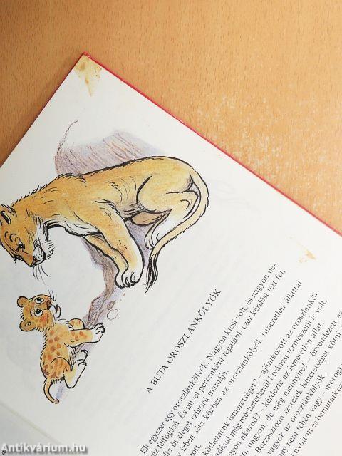 A Sün, akit meg lehetett simogatni