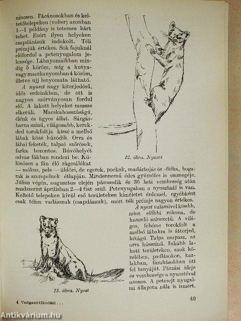 Vadgazdálkodási és vadászati alapismeretek