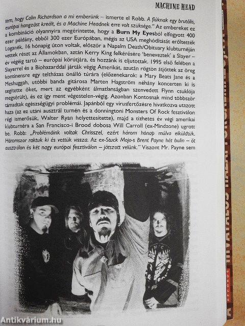 Trendzavarók és karrieristák