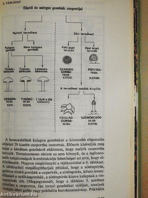 Ehető és mérges gombák