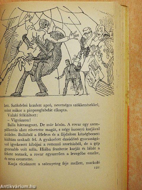 A rovarok lázadása