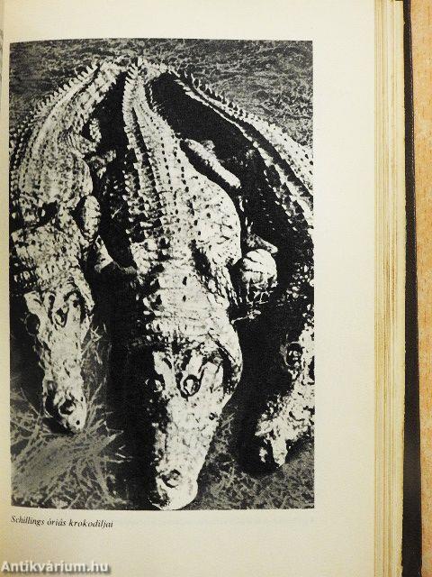 Vadászélmények távoli földrészeken