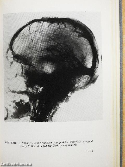 Functionalis anatomia 2.