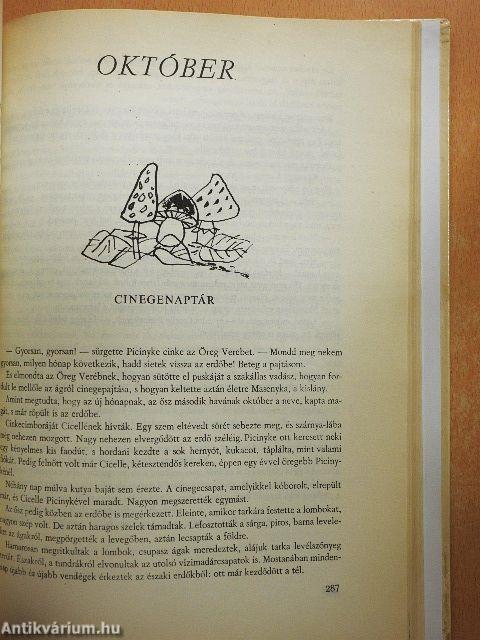 Minden napra egy mese