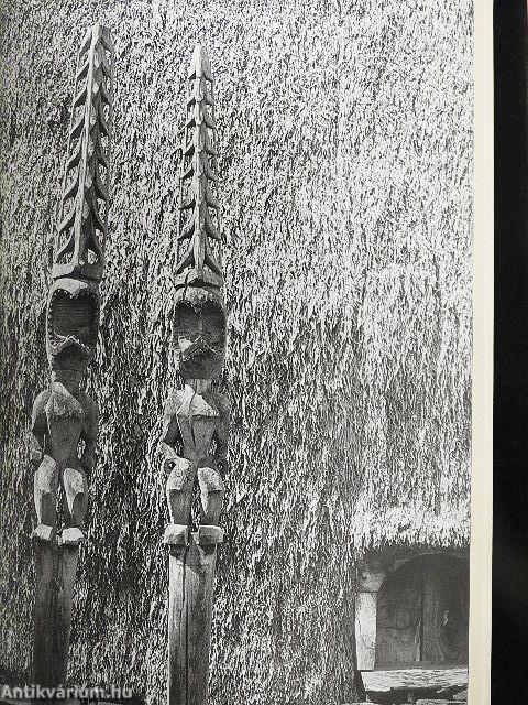 A varázslatos Hawaii