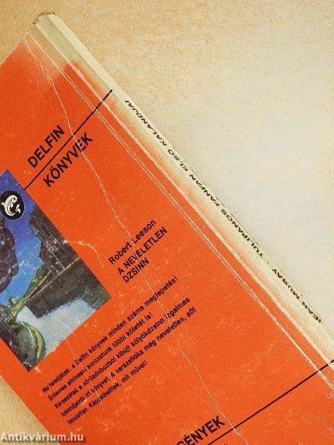 Tulipános Fanfan első kalandjai