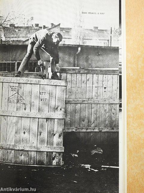 Történelem alulnézetben