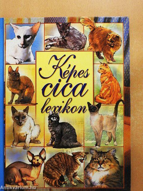 Képes cicalexikon