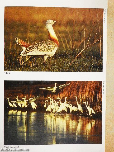 A Hortobágyi Nemzeti Park természetvédelmi kezelési szabályzata