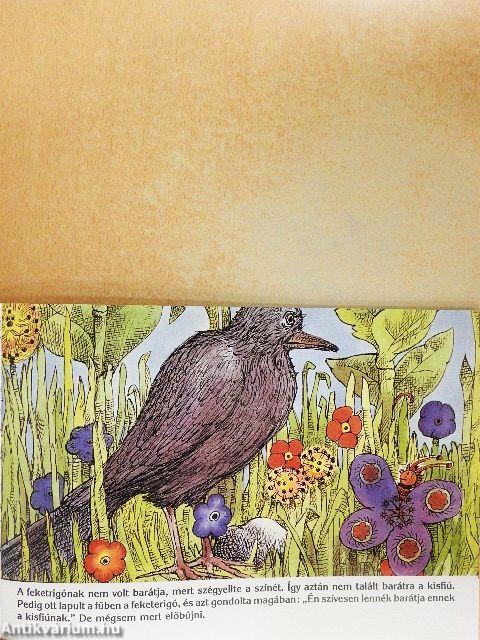 A nagyravágyó feketerigó