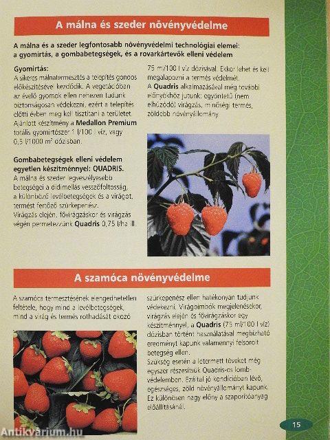 Alma, csonthéjasok, szőlő, bogyósok