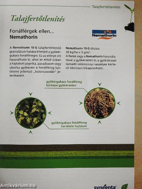 Zöldség technológiai füzet