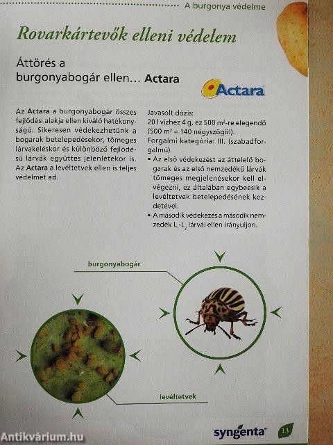 Zöldség technológiai füzet