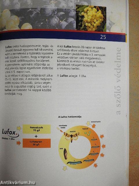 Szőlő, alma és csonthéjasok