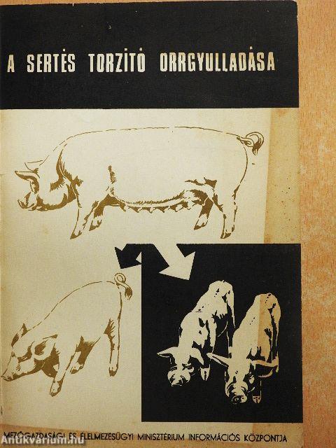 A sertés torzító orrgyulladása