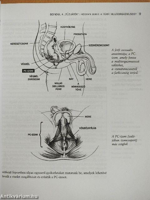 A multiorgazmusos pár