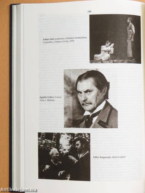 Révai új lexikona 1-19./Magyarország a XX. században I-V.