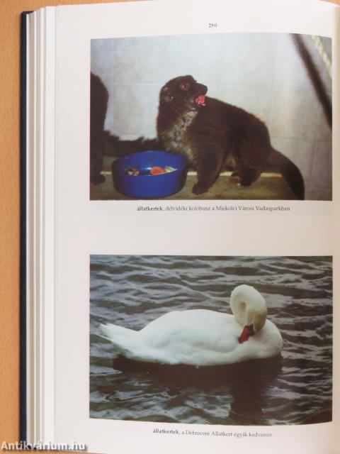 Révai új lexikona 1-19./Magyarország a XX. században I-V.