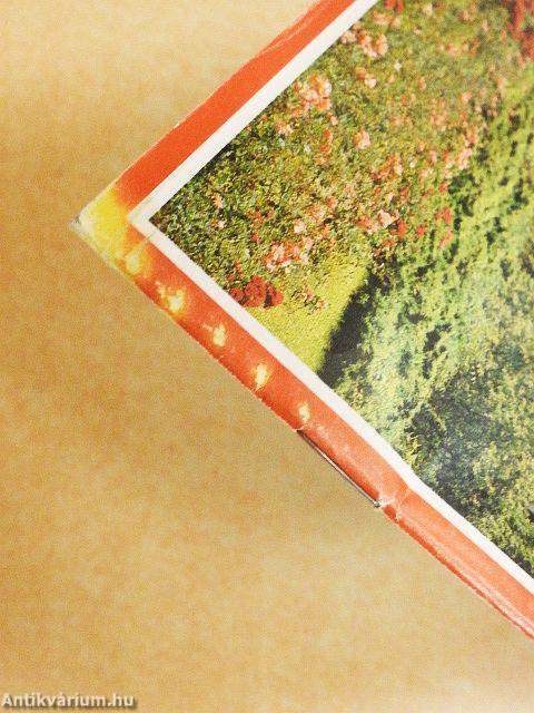 Hétvégi kirándulások Szlovákiában