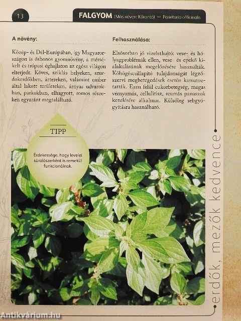 A természet gyógyereje 14.